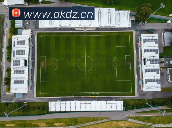 多媒体互动体验